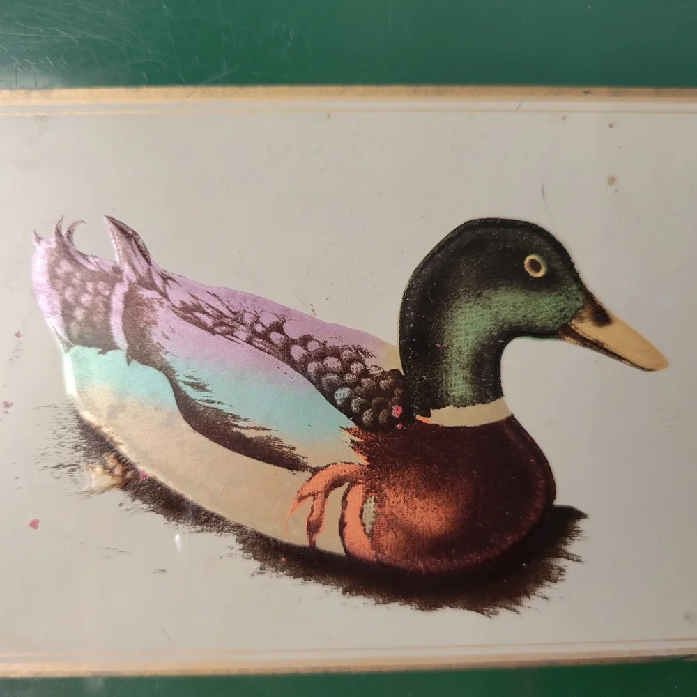 Otagiri Address Book ~ Hardcover Duck Image ~ Ready for Upcycle! FINAL PRICE